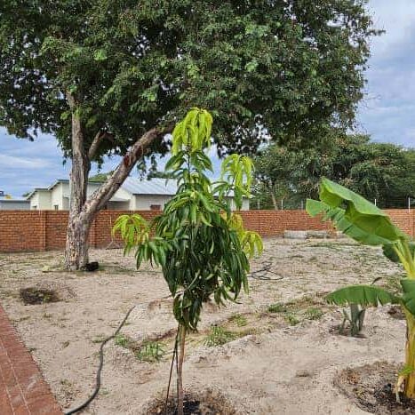 Primerose Realtors in Namibia: Buy | Sell | Rent